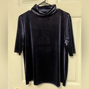 Ann Taylor blue blouse velour look in size large.